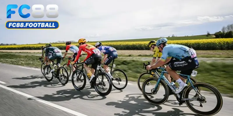 Fc88 – Địa chỉ cá cược đua xe đạp uy tín nhất thị trường