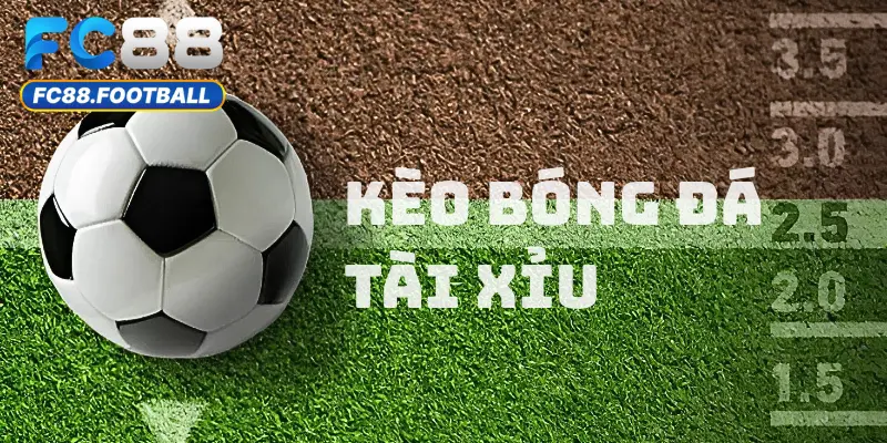 Hướng Dẫn Cách Chơi Kèo Bóng Đá Tại Nhà Cái Fc88